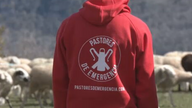 Los pastores de emergencia salen al rescate del campo en el norte de España
