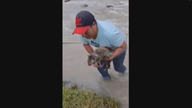 Rescate de un gato con final feliz en Perú