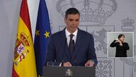 Sánchez: “Vamos a exigir todas las responsabilidades pertinentes a los operadores privados”